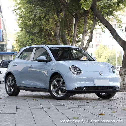 Hot Sale New Energy Vehicle ORA Good Cat Small Car  New Electric Vehicle